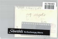 37276 W3446 Schwebda FOTO KEINE AK Foto mit Negativ, Schloß