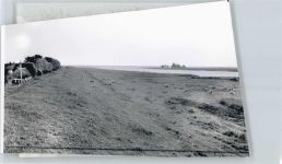 25376 W2209 Borsfleth FOTO KEINE AK Foto mit Negativ