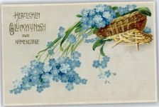 blaue Veilchen Namenstag