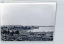 49696 W4599 Molbergen FOTO KEINE AK Foto mit Negativ, Ferienhof Dwergte