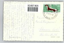 01829 O8306 Wehlen Stadt - Schiff