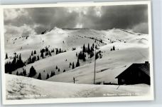 88161 W8998 Lindenberg i. Allgäu - Bleicherhorn, Höllritzer Alpe