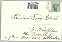 Bärenburg - Villa Bergfried