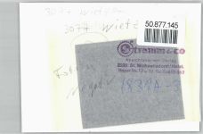 31613 W3077 Wietzen - Foto mit Negativ