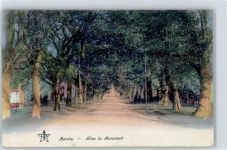 Marche Liege - Allee du Monument