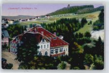 04736 O7305 Waldheim , Sachs - Etablissement Lindenhof