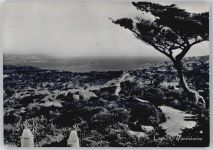 07024 Caprera Isola