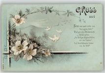 Sprüche Tauben Blumen Spruch