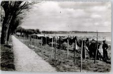 23629 W2401 Haffkrug - Fischernetze