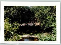 25859 W2251 Hooge, Hallig FOTO KEINE AK