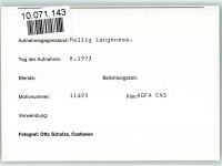 25863 W2251 Langeneß FOTO KEINE AK