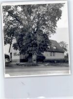 31319 W3001 Wassel - Foto mit Negativ