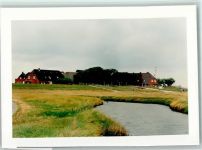 25859 W2251 Hooge, Hallig FOTO KEINE AK