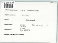 25859 W2251 Hooge, Hallig FOTO KEINE AK