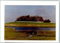 25863 W2251 Langeneß FOTO KEINE AK