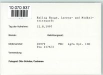 25859 W2251 Hooge, Hallig FOTO KEINE AK Kühe