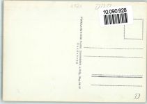 98711 O6315 Schmiedefeld am Rennsteig - Ortsansicht Kühe 4-Bildaufnahme