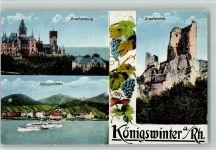 53639 W5330 Königswinter - Drachenburg Drachenfels Rheinschiff Weinranke