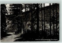 75399 W7267 Unterreichenbach , Kr Calw - Bäume