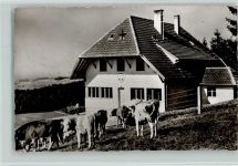 W7884 Altenschwand , Kr Säckingen Naturfreundehaus Hotzenwald Posthilfsstempel Naturfreunde