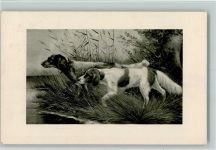 Setter bei Jagd Hund 1916