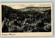 Wölfelsgrund Miedzygorze 1929 - Wölfelsgrund Teilansicht AK