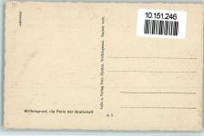 Wölfelsgrund Miedzygorze 1929 - Wölfelsgrund Teilansicht AK