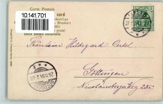 Schafherde Schaf 1904