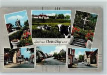 59387 W4715 Davensberg - Ortsansichten Wegkreuz Turm Kühe Mehrfachaufnahme