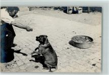 Bitte machen AK Boxer 1935 Foto AK