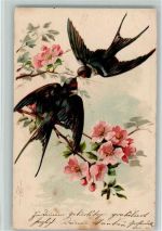 Poesie AK Schwalbe 1903 Lithographie