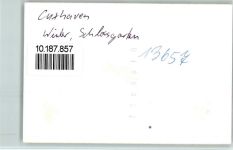 27472 W2190 Cuxhaven FOTO KEINE AK Winter Schlossgarten Schlitten