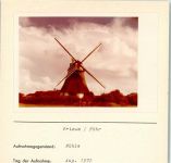 25938 W2270 Wrixum FOTO KEINE AK Windmühle Foto montiert auf Karton