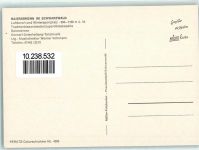 W7292 Baiersbronn Trachtenblasorchester Jugendblaskapelle Musikgruppe