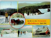 94556 W8351 Waldhäuser - Winter Skifahrer Pferdeschliten