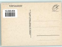 79859 W7826 Blasiwald - Fliegeraufnahme