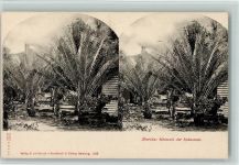 um 1900 - Knackstedt & Näther Nr. 508 , sehr gute Erhaltung AK Stereobild