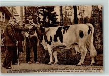 Le Marechal Joffre AK Militär Frankreich 1922