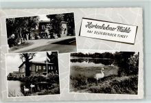 24628 W2359 Hartenholm - Hartenholmer Mühle am Segeberger Forst Schwäne