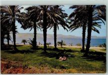 En Gev - On the Lake of Galilee Kibutz ein Gev