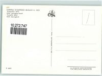 32043 Cortina d'Ampezzo - Trampolino Italia Skisprungschanze