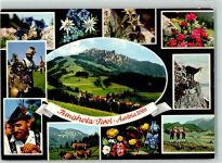 6691 Jungholz ,Tirol - Edelweiß Enzian Trachten Kuh GEms Alphörner