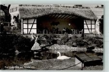 64385 W6149 Erlenbach , Kr Bergstr - Freilichtbühne am Kinderzoo Schwan