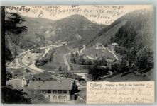 78098 W7740 Triberg im Schwarzwald 1905 - Bahnhof Blick in das Gutachtal