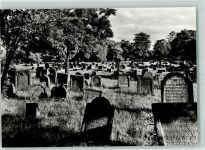 W6520 Worms Judenfriehof AK Jüdischer Friedhof
