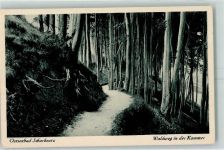 23629 W2401 Scharbeutz - Waldweg Kammer