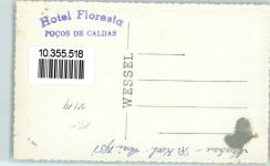 Pocos de Caldas - Hotel Floresta