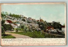 04703 O7320 Leisnig 1906 - im Blütenschmuck