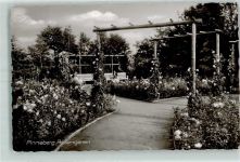 25421 W2080 Pinneberg - Rosengarten