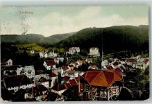 78098 W7740 Triberg im Schwarzwald 1912